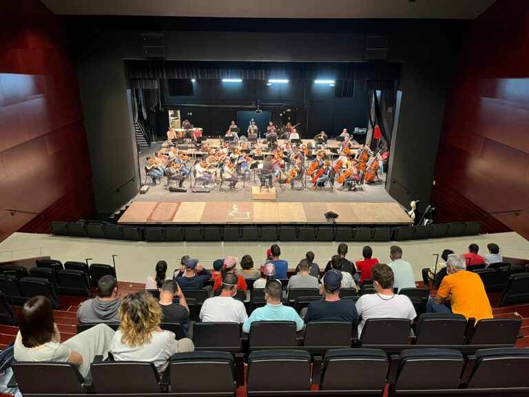 Actividad Matins d’Orquestra